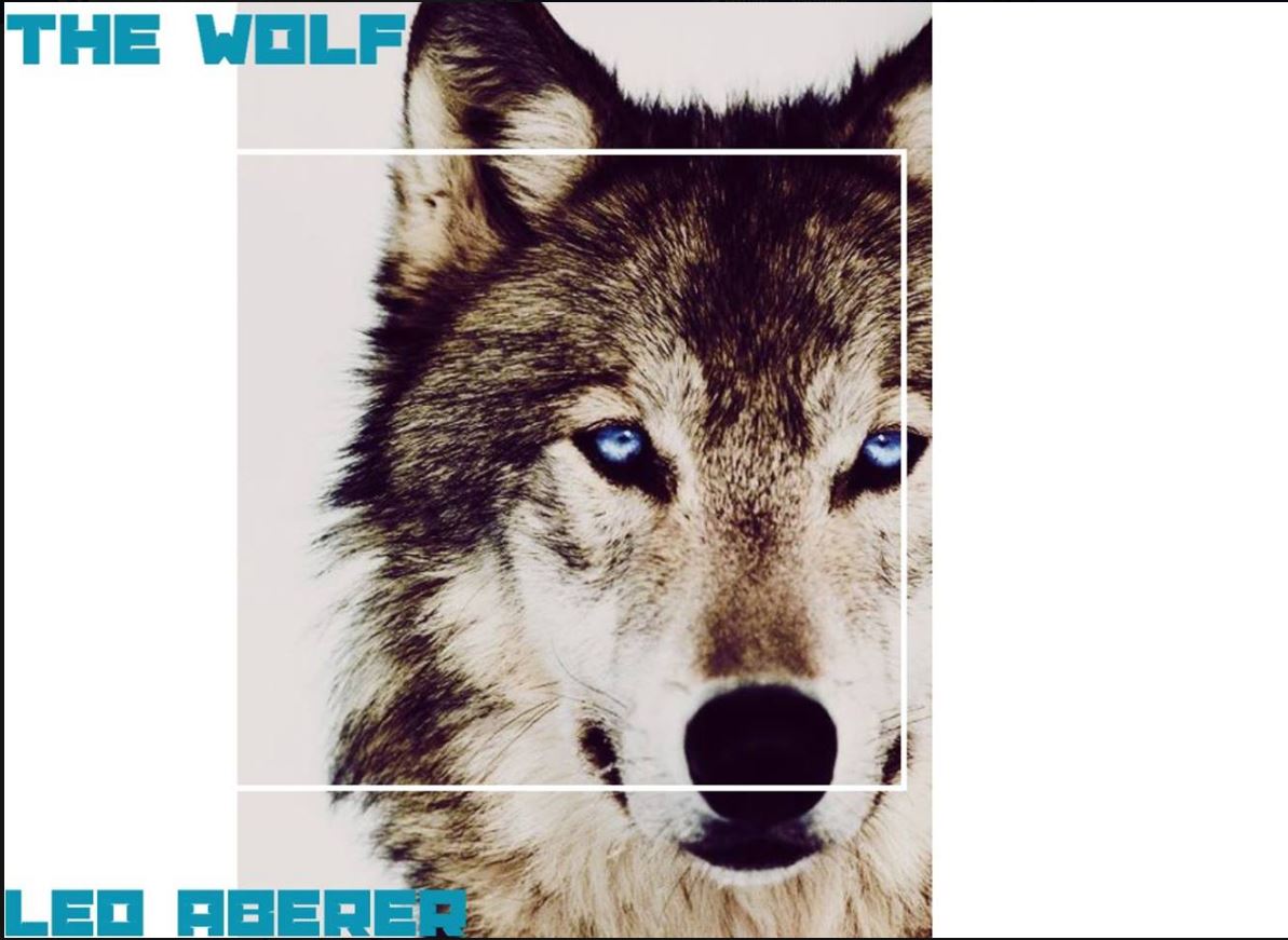 cover_the_wolf